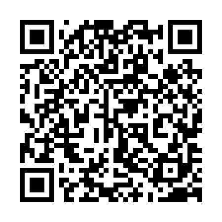 QR code for 54N290