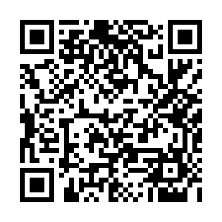 QR code for 54Q447