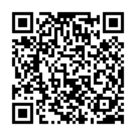 QR code for 55AP29