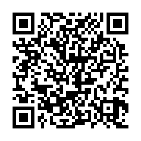 QR code for 55DS29