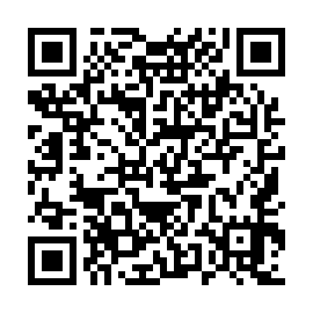 QR code for 55I155