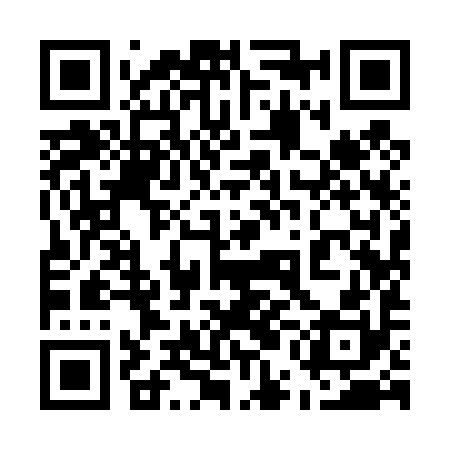 QR code for 55I490