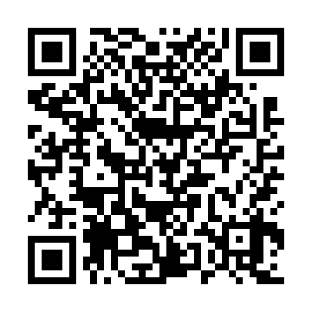 QR code for 55IV38