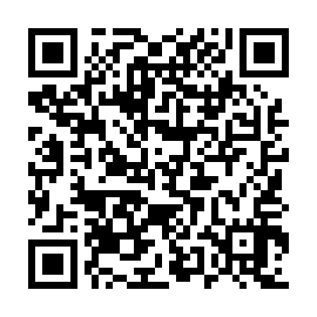 QR code for 55L017