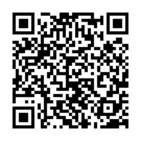 QR code for 55L558