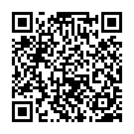 QR code for 55LN95