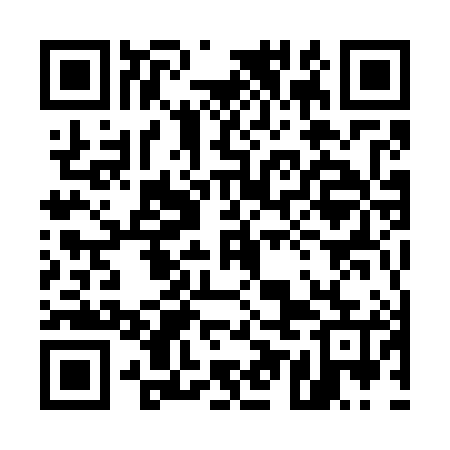 QR code for 55M785