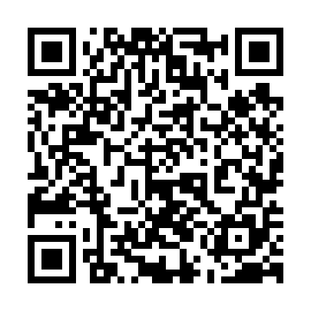 QR code for 55N655