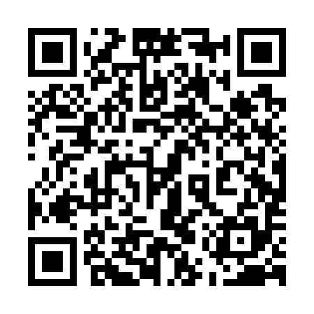 QR code for 55PG95