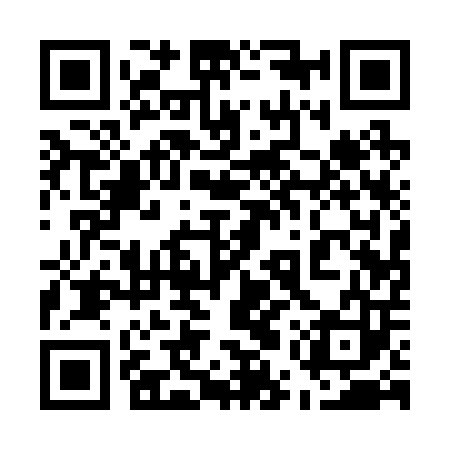 QR code for 55Q203