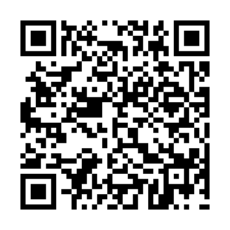 QR code for 55Q319