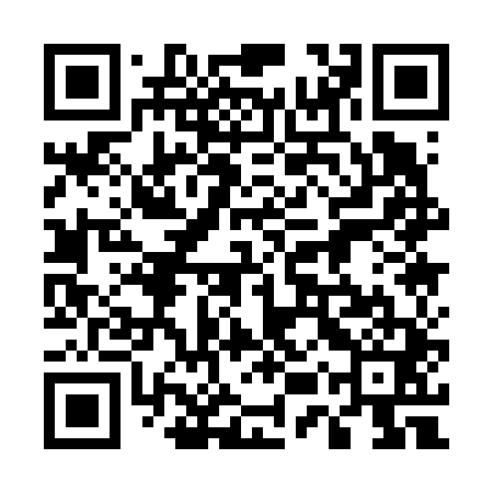 QR code for 55Q641