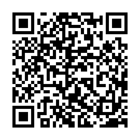 QR code for 5HP333