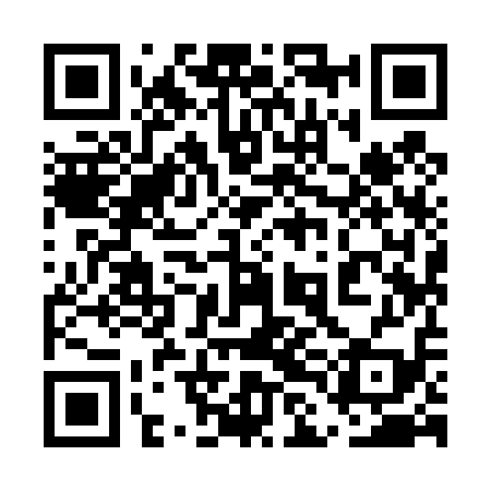QR code for 5LI419