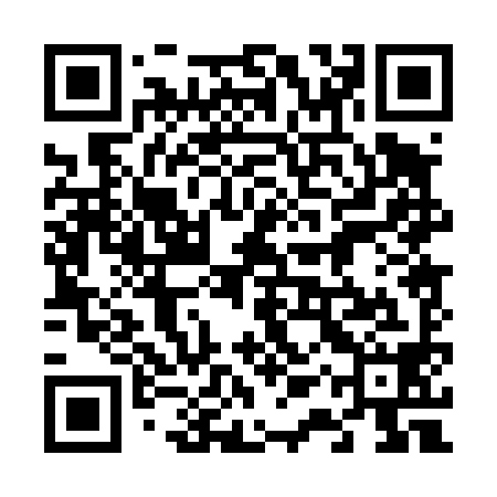 QR code for 61P498