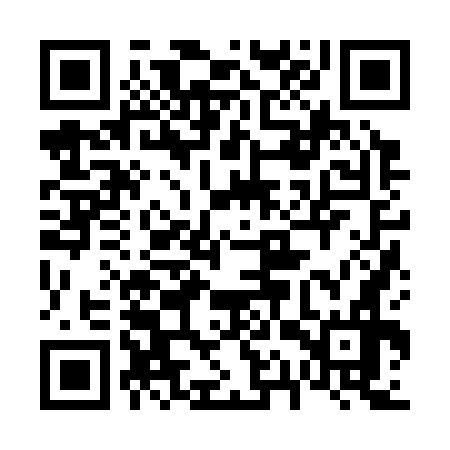 QR code for 61Z376