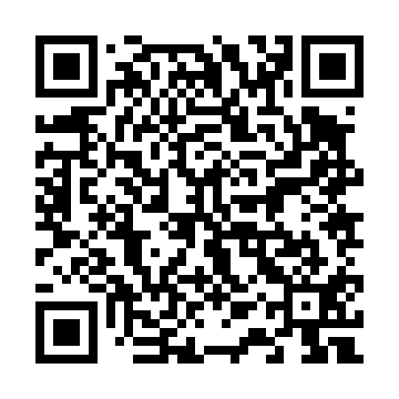QR code for 61Z411