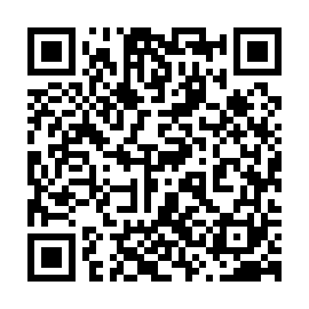 QR code for 63M161