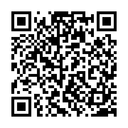 QR code for 63N323