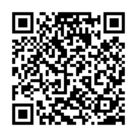 QR code for 63N428