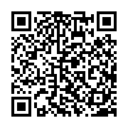 QR code for 63P221