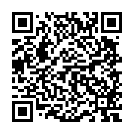 QR code for 63P489