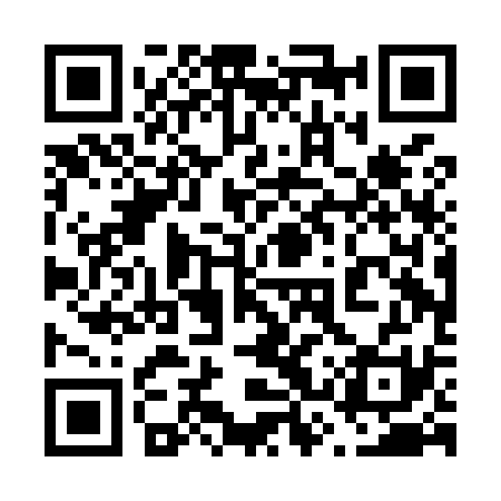 QR code for 63PM31