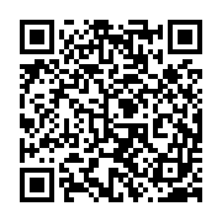 QR code for 63PO53