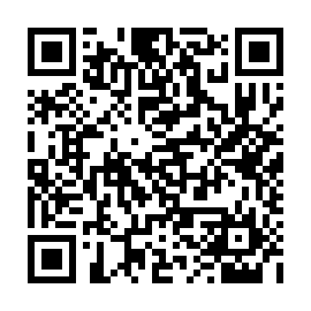 QR code for 63S396