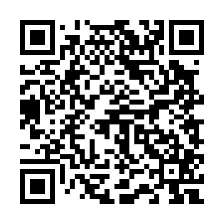 QR code for 63T005