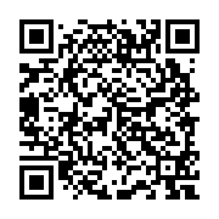 QR code for 63X390