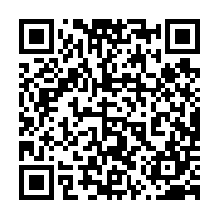 QR code for 65PV04