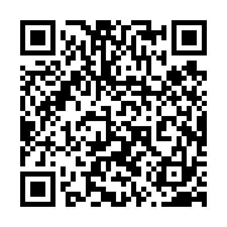 QR code for 65PV33