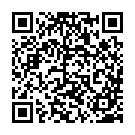 QR code for 65X387