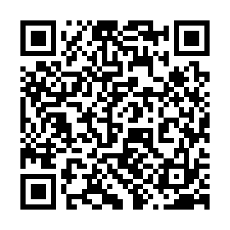 QR code for 69M333