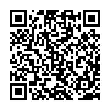 QR code for 6AP294