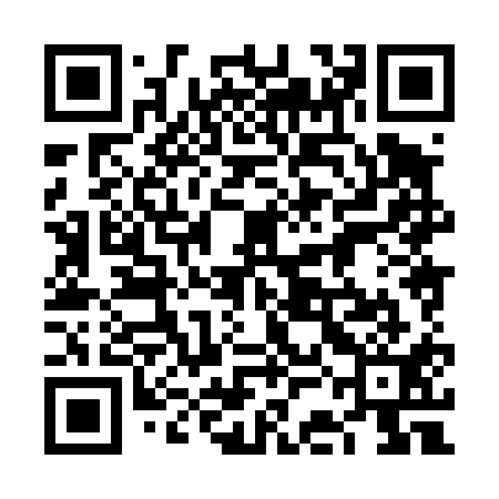 QR code for 6CH411