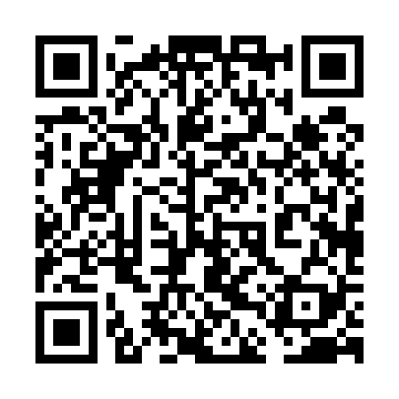 QR code for 6DP529