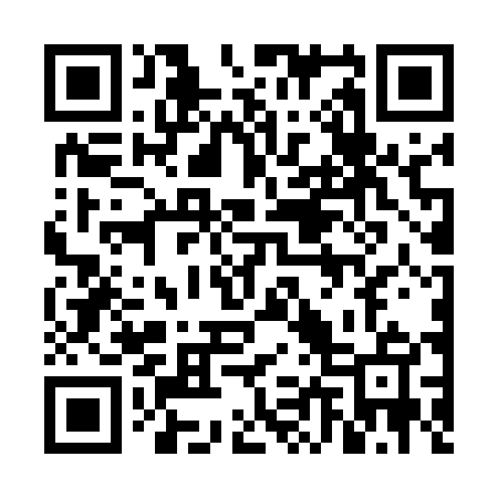 QR code for 6L6545