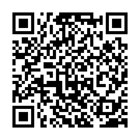 QR code for 6MG339