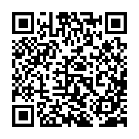QR code for 6MP385