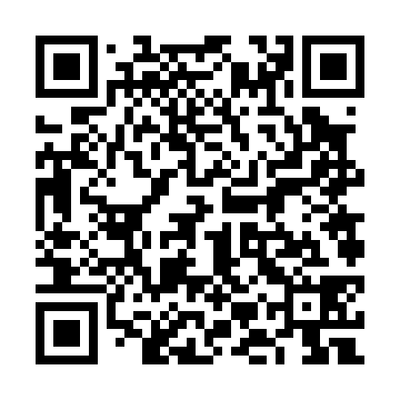 QR code for 6MV038