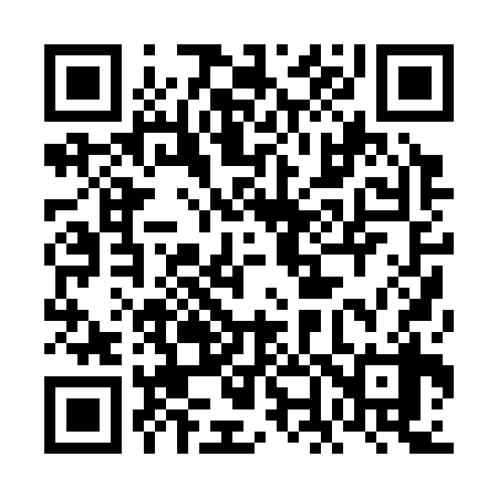 QR code for 6N0338
