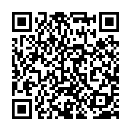 QR code for 6N4299