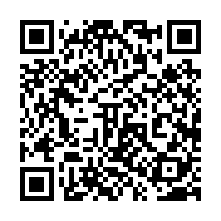 QR code for 6P0228