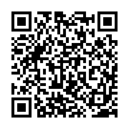 QR code for 6T2313