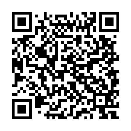 QR code for 6V6593