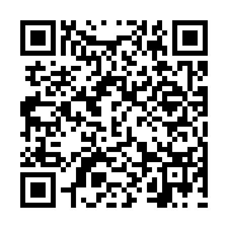 QR code for 6XE333