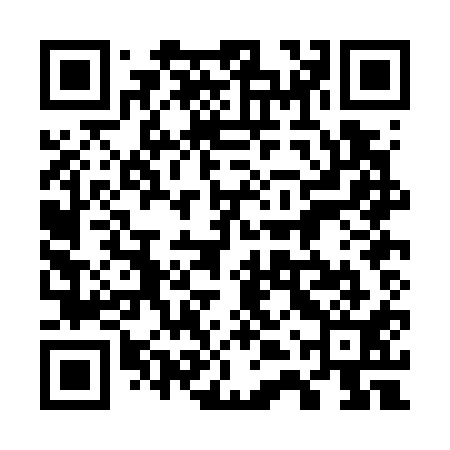 QR code for 74PG11