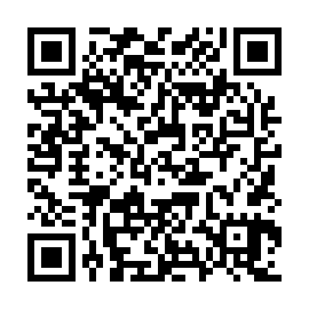 QR code for 79L165